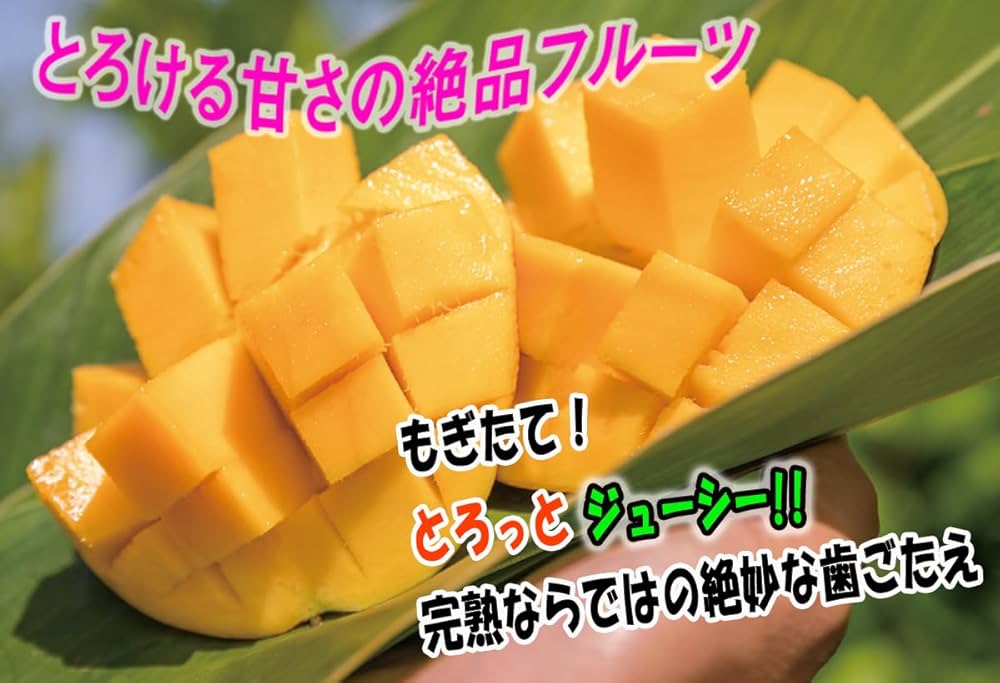 宮古島産の完熟アップルマンゴーです！ 太陽の光をたっぷり浴びて育った 楽天市場】宮古島産 完熟マンゴー 2kg 【秀品】（アップル